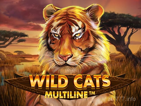 Wild Cats Multiline
